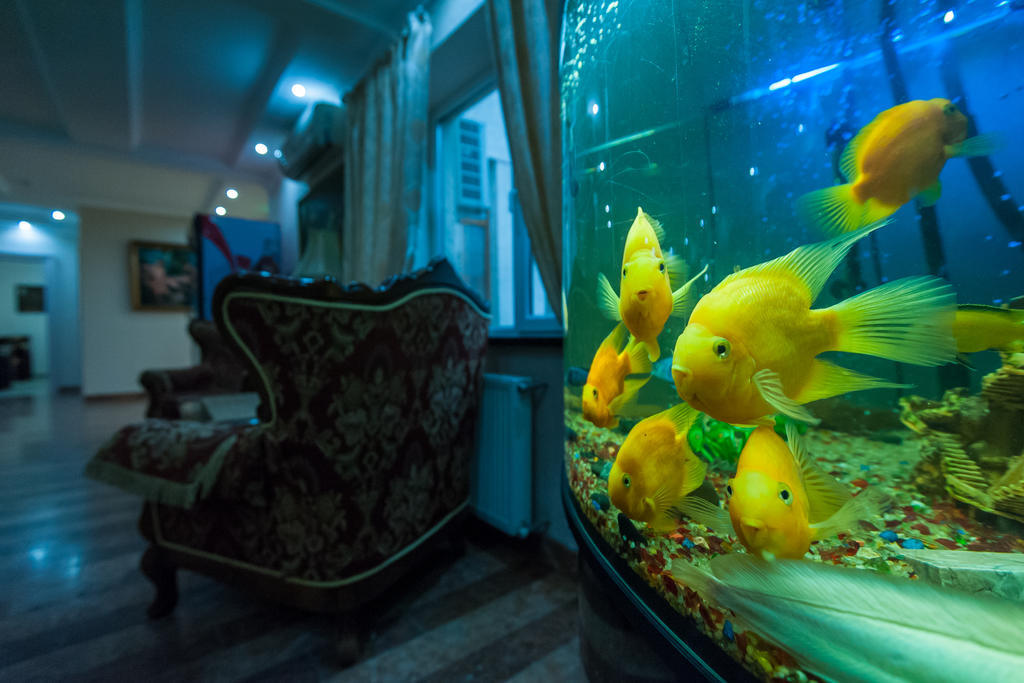 Leoton Chernivtsi Hotel Ngoại thất bức ảnh